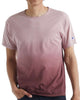 Champion Camisetas de hombre - Unidades en la caja 36 - Precio unitario $11.75 c/u