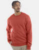 Champion Sudaderas con cuello redondo de Hombre - Unidades en la caja 48 -Precio unitario $18.50 c/u