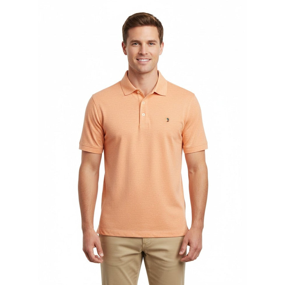 Duck Head Camisas Polo de Hombre – Caja 26Unidades – Colores Mixtos – $24.50 c/u
